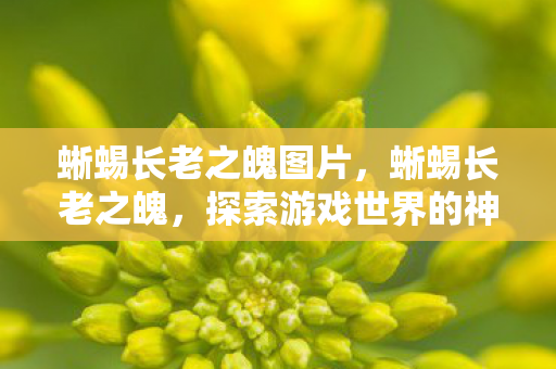 蜥蜴长老之魄图片,蜥蜴长老之魄,探索游戏世界的神秘力量 蜥蜴长老之魄图片,蜥蜴长老之魄,探索游戏世界的神秘力量