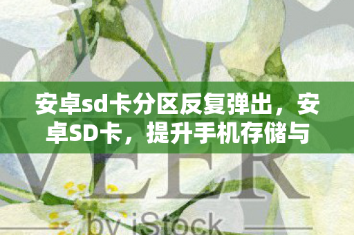 安卓sd卡分区反复弹出,安卓SD卡,提升手机存储与性能的关键 安卓sd卡分区反复弹出,安卓SD卡,提升手机存储与性能的关键
