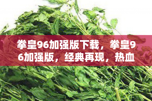 拳皇96加强版下载,拳皇96加强版,经典再现,热血重燃 拳皇96加强版下载,拳皇96加强版,经典再现,热血重燃