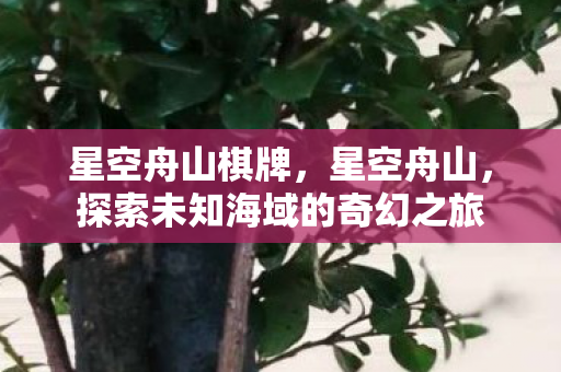 星空舟山棋牌,星空舟山,探索未知海域的奇幻之旅 星空舟山棋牌,星空舟山,探索未知海域的奇幻之旅