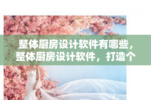整体厨房设计软件有哪些,整体厨房设计软件,打造个性化家居空间的新利器 整体厨房设计软件有哪些,整体厨房设计软件,打造个性化家居空间的新利器