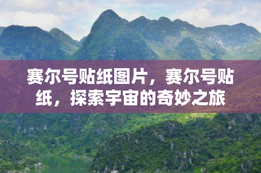 赛尔号贴纸图片，赛尔号贴纸，探索宇宙的奇妙之旅