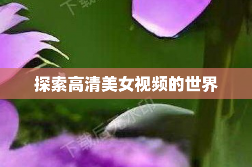 探索高清美女视频的世界 探索高清美女视频的世界