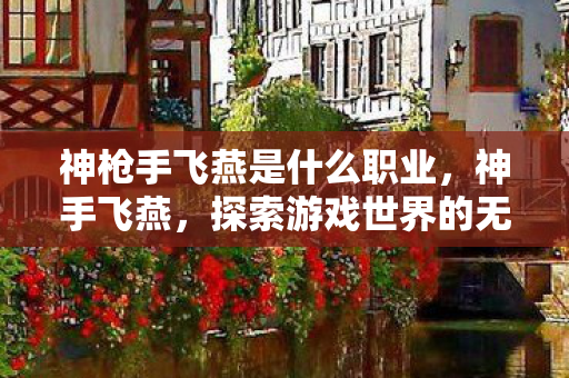 神枪手飞燕是什么职业，神手飞燕，探索游戏世界的无限可能