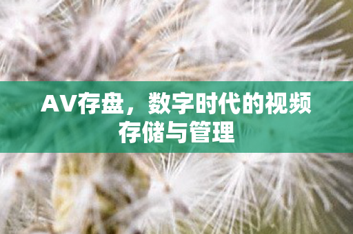 AV存盘,数字时代的视频存储与管理 AV存盘,数字时代的视频存储与管理