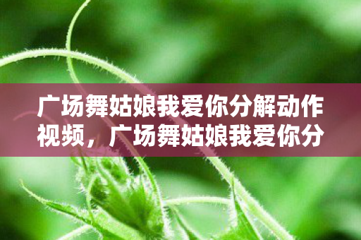 广场舞姑娘我爱你分解动作视频,广场舞姑娘我爱你分解动作详解 广场舞姑娘我爱你分解动作视频,广场舞姑娘我爱你分解动作详解