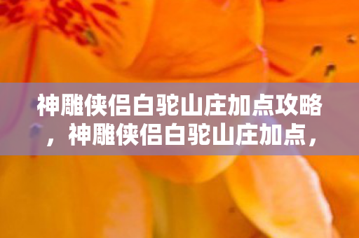 神雕侠侣白驼山庄加点攻略,神雕侠侣白驼山庄加点,打造个性化角色的关键 神雕侠侣白驼山庄加点攻略,神雕侠侣白驼山庄加点,打造个性化角色的关键