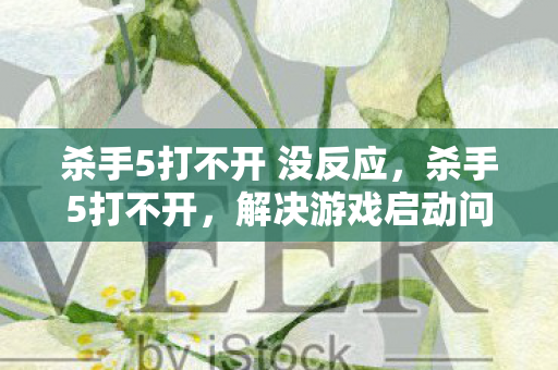 杀手5打不开 没反应,杀手5打不开,解决游戏启动问题的全面指南 杀手5打不开 没反应,杀手5打不开,解决游戏启动问题的全面指南