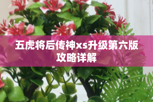 五虎将后传神xs升级第六版攻略详解 五虎将后传神xs升级第六版攻略详解