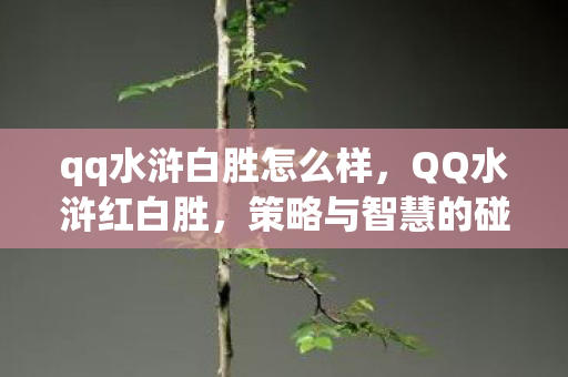 qq水浒白胜怎么样,QQ水浒红白胜,策略与智慧的碰撞 qq水浒白胜怎么样,QQ水浒红白胜,策略与智慧的碰撞