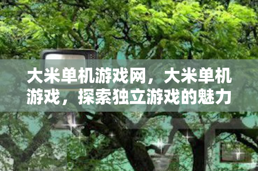大米单机游戏网，大米单机游戏，探索独立游戏的魅力与乐趣