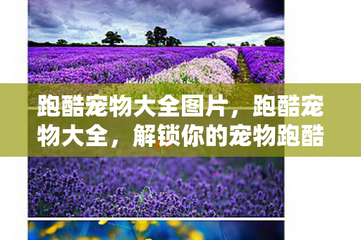 跑酷宠物大全图片，跑酷宠物大全，解锁你的宠物跑酷潜能