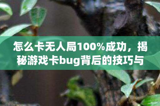 怎么卡无人局100%成功,揭秘游戏卡bug背后的技巧与策略 怎么卡无人局100%成功,揭秘游戏卡bug背后的技巧与策略