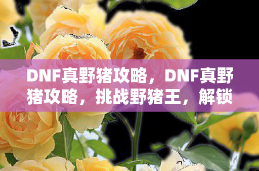 DNF真野猪攻略,DNF真野猪攻略,挑战野猪王,解锁终极装备 DNF真野猪攻略,DNF真野猪攻略,挑战野猪王,解锁终极装备