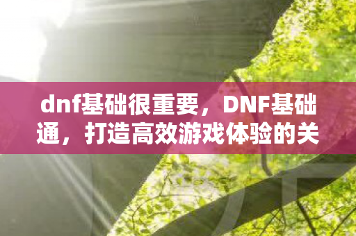 dnf基础很重要，DNF基础通，打造高效游戏体验的关键