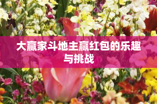 大赢家斗地主赢红包的乐趣与挑战 大赢家斗地主赢红包的乐趣与挑战