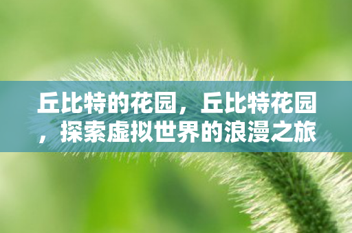 丘比特的花园,丘比特花园,探索虚拟世界的浪漫之旅 丘比特的花园,丘比特花园,探索虚拟世界的浪漫之旅