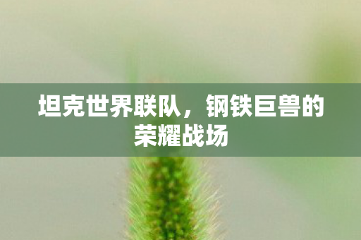 坦克世界联队,钢铁巨兽的荣耀战场 坦克世界联队,钢铁巨兽的荣耀战场