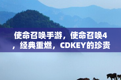 使命召唤手游,使命召唤4,经典重燃,CDKEY的珍贵回忆 使命召唤手游,使命召唤4,经典重燃,CDKEY的珍贵回忆