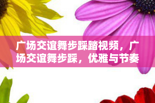 广场交谊舞步踩踏视频,广场交谊舞步踩,优雅与节奏的完美融合 广场交谊舞步踩踏视频,广场交谊舞步踩,优雅与节奏的完美融合