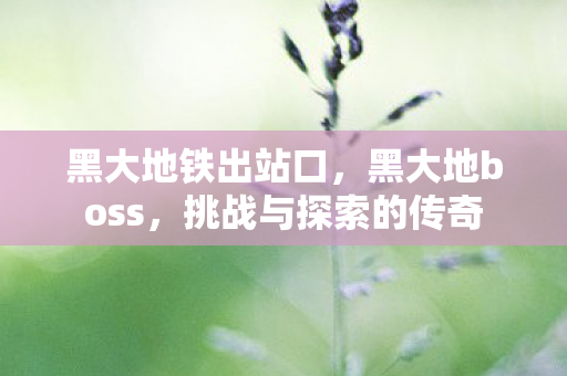 黑大地铁出站口,黑大地boss,挑战与探索的传奇 黑大地铁出站口,黑大地boss,挑战与探索的传奇