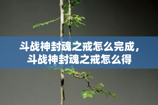 斗战神封魂之戒怎么完成,斗战神封魂之戒怎么得 斗战神封魂之戒怎么完成,斗战神封魂之戒怎么得