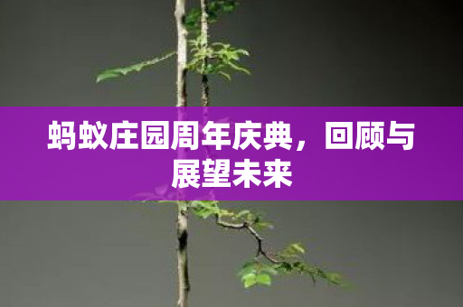 蚂蚁庄园周年庆典,回顾与展望未来 蚂蚁庄园周年庆典,回顾与展望未来