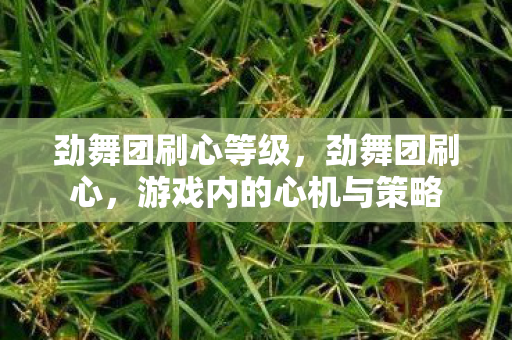 劲舞团刷心等级，劲舞团刷心，游戏内的心机与策略