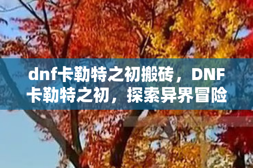 dnf卡勒特之初搬砖，DNF卡勒特之初，探索异界冒险的序章