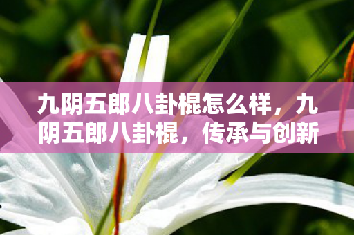 九阴五郎八卦棍怎么样，九阴五郎八卦棍，传承与创新的武侠之魂