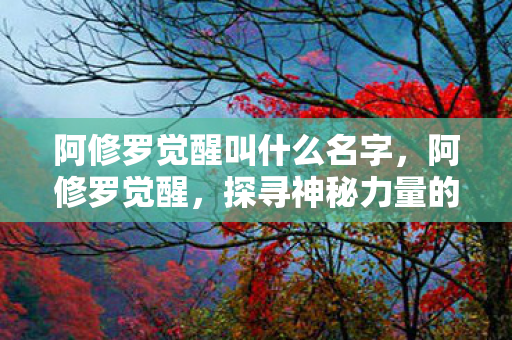 阿修罗觉醒叫什么名字,阿修罗觉醒,探寻神秘力量的觉醒之旅 阿修罗觉醒叫什么名字,阿修罗觉醒,探寻神秘力量的觉醒之旅