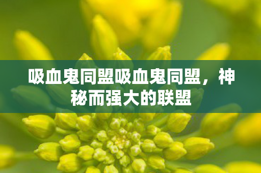 吸血鬼同盟吸血鬼同盟,神秘而强大的联盟 吸血鬼同盟吸血鬼同盟,神秘而强大的联盟