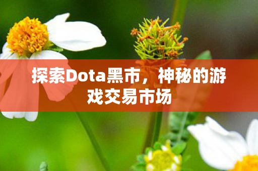 探索Dota黑市，神秘的游戏交易市场