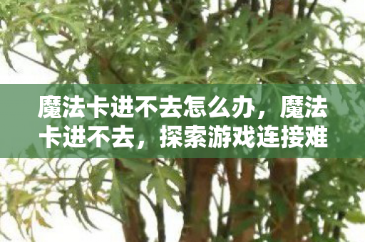 魔法卡进不去怎么办,魔法卡进不去,探索游戏连接难题的深层原因 魔法卡进不去怎么办,魔法卡进不去,探索游戏连接难题的深层原因