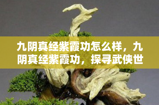 九阴真经紫霞功怎么样,九阴真经紫霞功,探寻武侠世界的内功奥秘 九阴真经紫霞功怎么样,九阴真经紫霞功,探寻武侠世界的内功奥秘