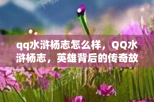 qq水浒杨志怎么样,QQ水浒杨志,英雄背后的传奇故事 qq水浒杨志怎么样,QQ水浒杨志,英雄背后的传奇故事