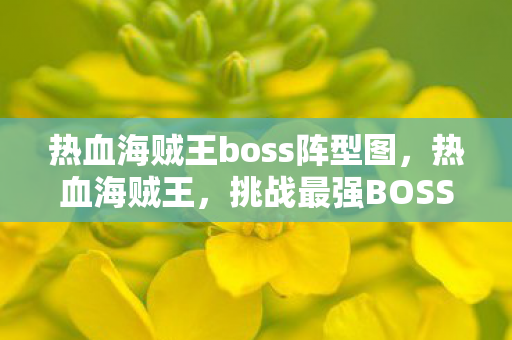 热血海贼王boss阵型图,热血海贼王,挑战最强BOSS的阵容策略 热血海贼王boss阵型图,热血海贼王,挑战最强BOSS的阵容策略