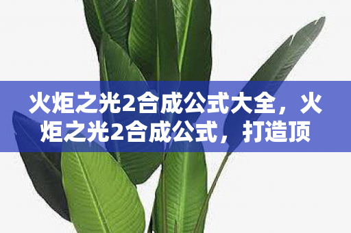 火炬之光2合成公式大全,火炬之光2合成公式,打造顶级装备的秘密 火炬之光2合成公式大全,火炬之光2合成公式,打造顶级装备的秘密