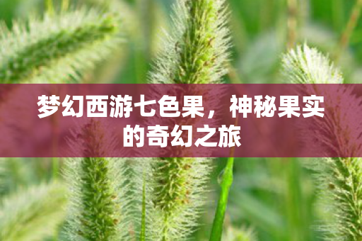 梦幻西游七色果，神秘果实的奇幻之旅
