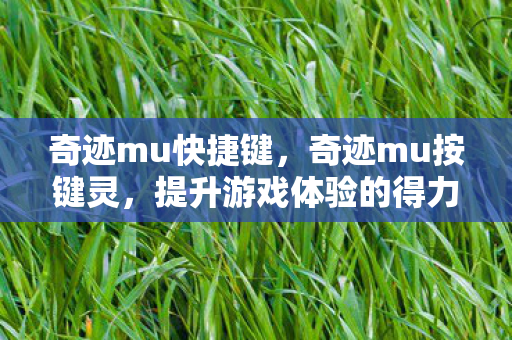 奇迹mu快捷键,奇迹mu按键灵,提升游戏体验的得力助手 奇迹mu快捷键,奇迹mu按键灵,提升游戏体验的得力助手