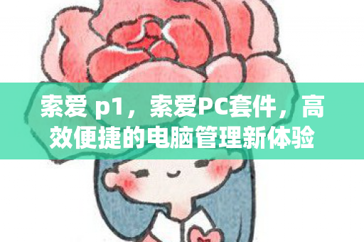 索爱 p1，索爱PC套件，高效便捷的电脑管理新体验