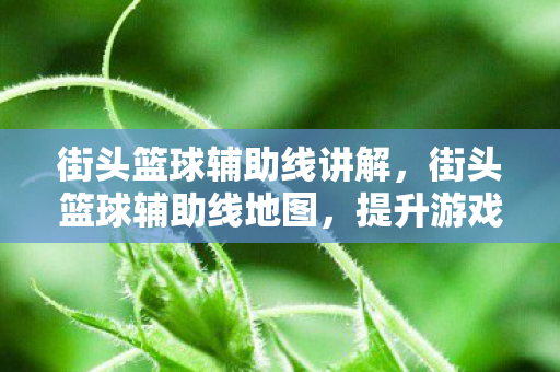 街头篮球辅助线讲解,街头篮球辅助线地图,提升游戏技巧与体验 街头篮球辅助线讲解,街头篮球辅助线地图,提升游戏技巧与体验