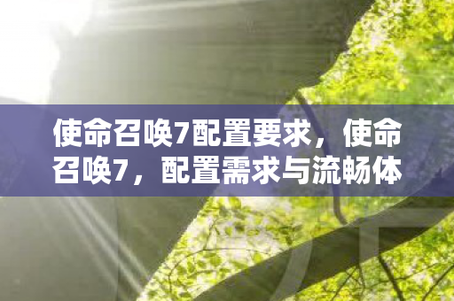 使命召唤7配置要求，使命召唤7，配置需求与流畅体验