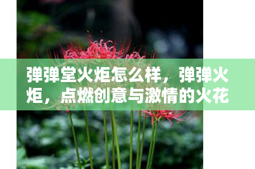 弹弹堂火炬怎么样，弹弹火炬，点燃创意与激情的火花
