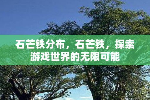 石芒铁分布,石芒铁,探索游戏世界的无限可能 石芒铁分布,石芒铁,探索游戏世界的无限可能