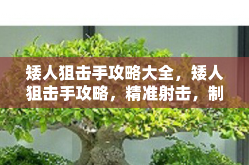 矮人狙击手攻略大全,矮人狙击手攻略,精准射击,制胜关键 矮人狙击手攻略大全,矮人狙击手攻略,精准射击,制胜关键