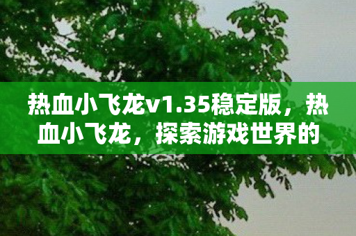 热血小飞龙v1.35稳定版,热血小飞龙,探索游戏世界的无限可能 热血小飞龙v1.35稳定版,热血小飞龙,探索游戏世界的无限可能