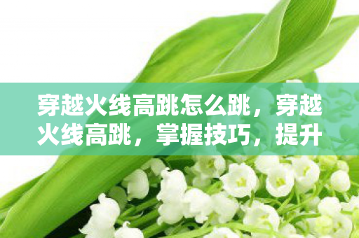 穿越火线高跳怎么跳,穿越火线高跳,掌握技巧,提升游戏体验 穿越火线高跳怎么跳,穿越火线高跳,掌握技巧,提升游戏体验
