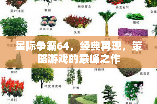星际争霸64,经典再现,策略游戏的巅峰之作 星际争霸64,经典再现,策略游戏的巅峰之作