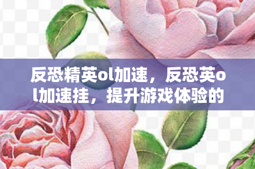 反恐精英ol加速,反恐英ol加速挂,提升游戏体验的合法途径 反恐精英ol加速,反恐英ol加速挂,提升游戏体验的合法途径